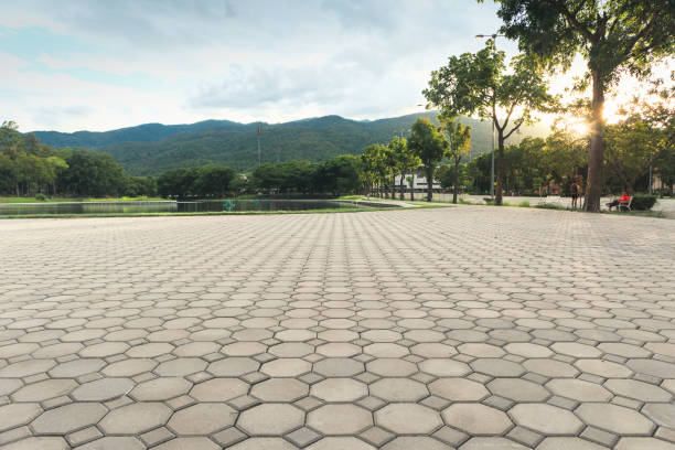 Best Residential Paver Driveway  in East Troy, WI